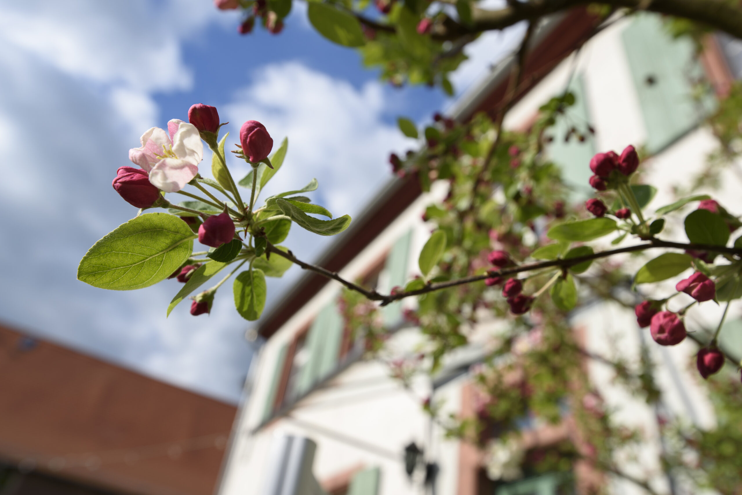 hofgut guntershausen