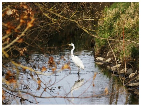 screenshot 2024 03 11 172256