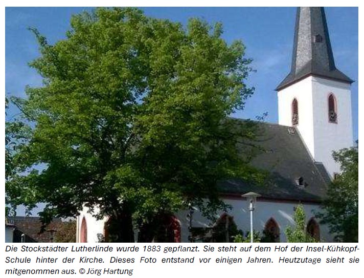 lutherlinde stockstadt